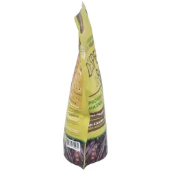 Iswari despertar buda proteina matina 360g bio | Farmacia Barata