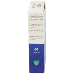 Lipo c 1000 vitamina c liposomada 60cap. | Farmacia Barata