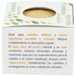Nitx champu solido regenerador 85g | Farmacia Barata