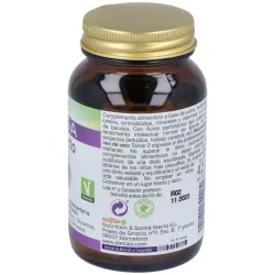 Mega intelecto 60cap. | Farmacia Barata