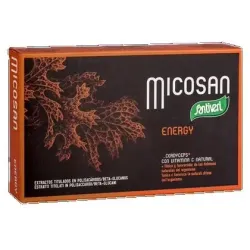 Micosan energy 40cap.