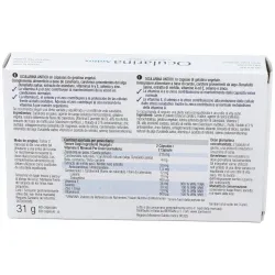 Santiveri ocularina antiox 60 capsulas | Farmacia Barata