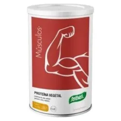 Dynamic proteina vegetal vainilla 455gr.