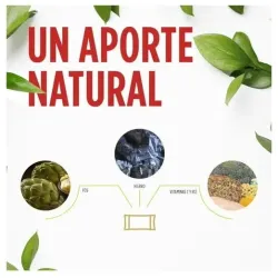 Eladiet vit y min ferro forte 20 sobres | Farmacia Barata Eladiet vit y min ferro forte 20 sobres | Farmacia Barata