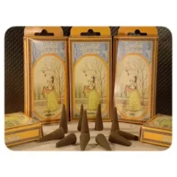 Radhe shyam musk cono incienso scented garden 1ud
