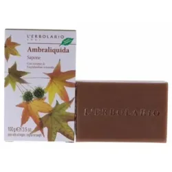 Lerbolario Ambraliquida Jabón Perfumado Pastilla, 100 g