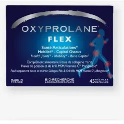 Bio-recherche oxyprolane flex 45caps