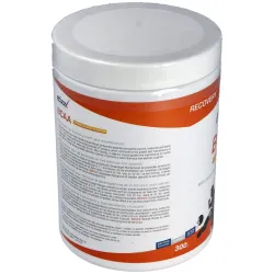 Etixx bcaa powder sabor naranja-mango 300 gr | Farmacia Barata