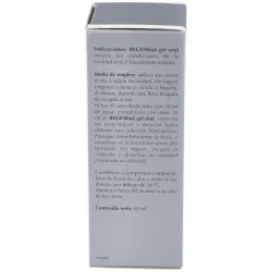 Lavigor regenhial gel oral 60ml | Farmacia Barata