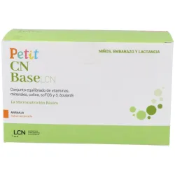Petit cn base sabor naranja 30 sobres
