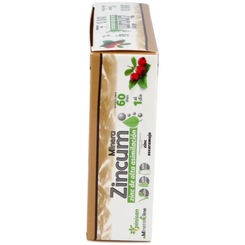 Pinisan minera zincum 60caps | Farmacia Barata