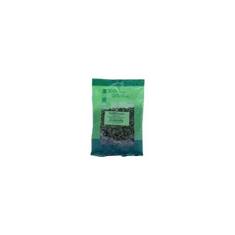 Espliego flor extra bolsa 50gr. | Farmacia Barata
