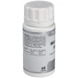Equisalud microbiota helico 60caps | Farmacia Barata