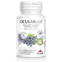 Intersa ocular actif 45caps