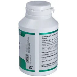 Equisalud ayurveda bacopa 180caps | Farmacia Barata