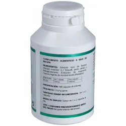 Equisalud ayurveda bacopa 180caps | Farmacia Barata