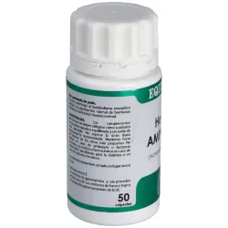 Holofit equisalud ampk plus 50 cápsulas | Farmacia Barata