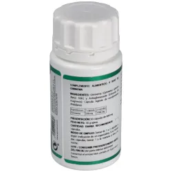Holofit ayurveda gymnema 50cap. | Farmacia Barata