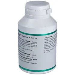 Equisalud ayurveda shatavari 180caps | Farmacia Barata