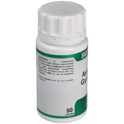 Holofit ayurveda gymnema 50cap. | Farmacia Barata