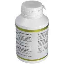 Holofungi reishi 180cap. | Farmacia Barata