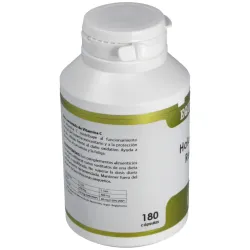 Holofungi reishi 180cap. | Farmacia Barata