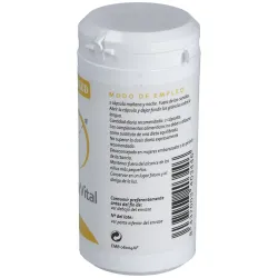 Equisalud potential n energyvital 60caps | Farmacia Barata