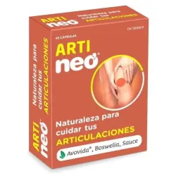 Artineo 45 capsulas