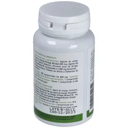 Plantapol ginkgo biloba 100 comprimidos | Farmacia Barata
