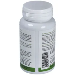Plantapol ginkgo biloba 100 comprimidos | Farmacia Barata