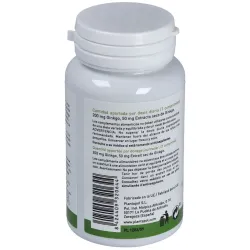 Plantapol ginkgo biloba 100 comprimidos | Farmacia Barata