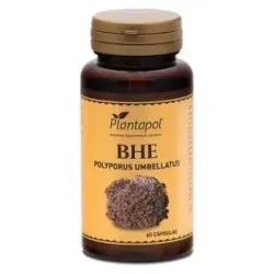 Bhe polyporus + escaramujo 60cap.