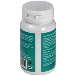 Six dophilus forte 60cap. | Farmacia Barata