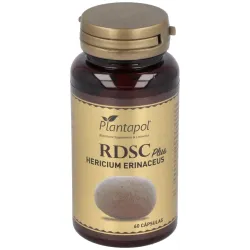 Rdsc plus melena de leon + escaramujo 60cap.