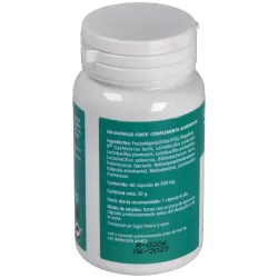 Six dophilus forte 60cap. | Farmacia Barata