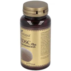 Rdsc plus melena de leon + escaramujo 60cap. | Farmacia Barata