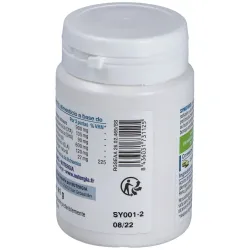 Nutergia synerviol 60caps | Farmacia Barata