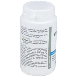 Nutergia ergyquer forte 60caps | Farmacia Barata