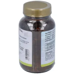 Bacter fs 90perlas | Farmacia Barata
