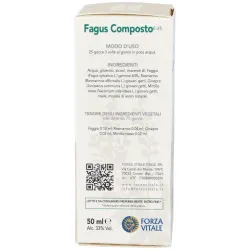 Fagus composto extracto 50ml. | Farmacia Barata