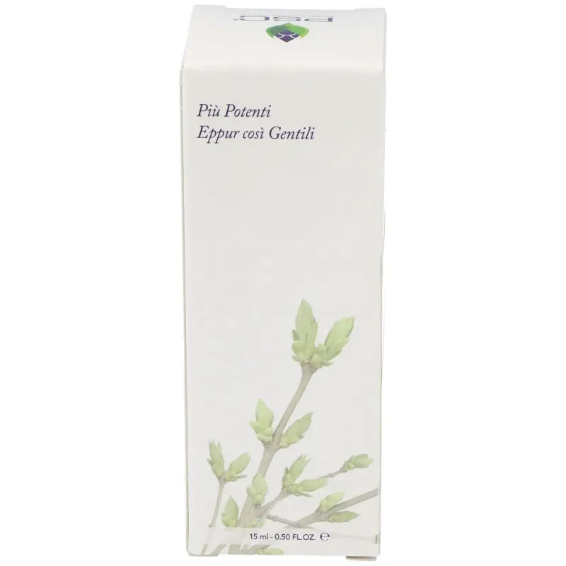Psc ginkgo biloba 15ml. | Farmacia Barata