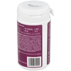 Steviapharma hepastevia 50caps | Farmacia Barata