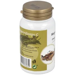 Megacordiceps c (oruga vegetal) 60cap. | Farmacia Barata
