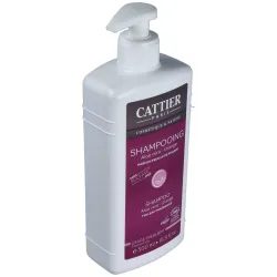 Champu sin sulfatos uso frequente 500ml. | Farmacia Barata Champu sin sulfatos uso frequente 500ml. | Farmacia Barata