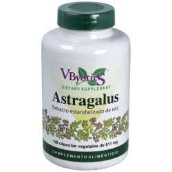 Vbyotics astragalus extracto estandarizado raíz 120caps
