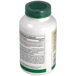 Vbyotics mastic gum extracto de resina de lentisco 120caps | Farmacia Barata