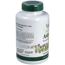 Vbyotics astragalus extracto estandarizado raíz 120caps | Farmacia Barata Vbyotics astragalus extracto estandarizado raíz 120caps | Farmacia Barata