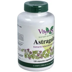Vbyotics astragalus extracto estandarizado raíz 120caps | Farmacia Barata Vbyotics astragalus extracto estandarizado raíz 120caps | Farmacia Barata