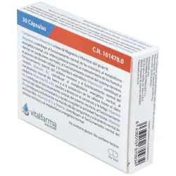 Vitalfarma magnesio b complex 30cáps | Farmacia Barata