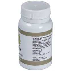 Ortocel rhodiola 500mg 60caps | Farmacia Barata
